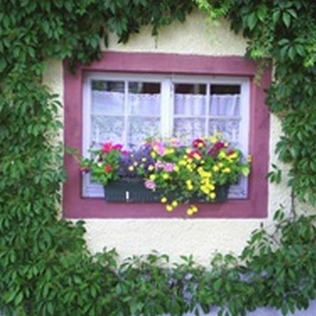 Pension Sonne Rickenbach  Exterior foto