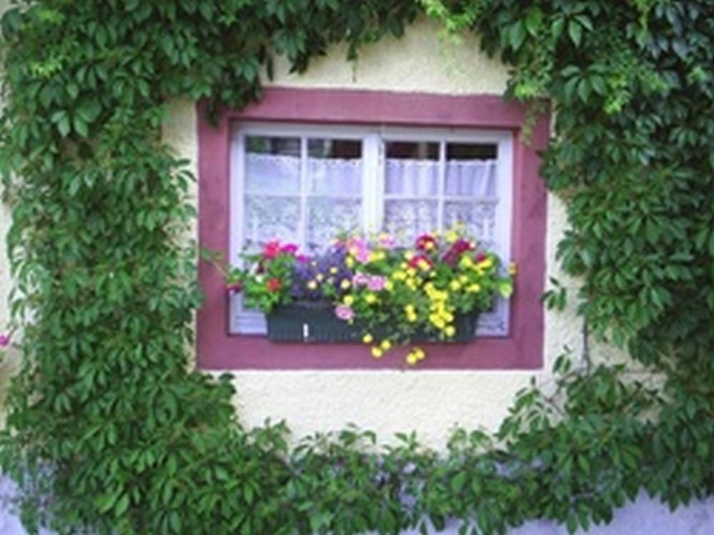 Pension Sonne Rickenbach  Exterior foto